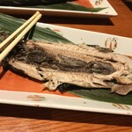 Sakagura - 221031月　北海道　さかな・寿司・串焼 咲か蔵 札幌店　秋刀魚の塩焼き780円＋税！