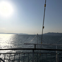 THE KOBECRUISE コンチェルト - 