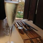 ウェロニカ ペルシカ - 