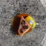 ウェロニカ ペルシカ - 