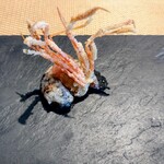 La Brianza - 北海道産ボタンエビ炭火炙りピンクグレープフルーツ。蟹脚のフリットがサクサク♪♪美味しい　ボタンエビの身の甘み、グレープフルーツさわやかさ。わぁ幸せ♡(๑´ڡ`๑)