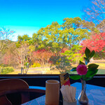 花やしき - 庭園