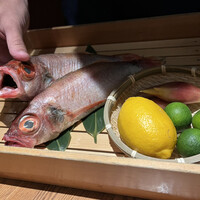 のどぐろ専門 銀座 中俣 - 