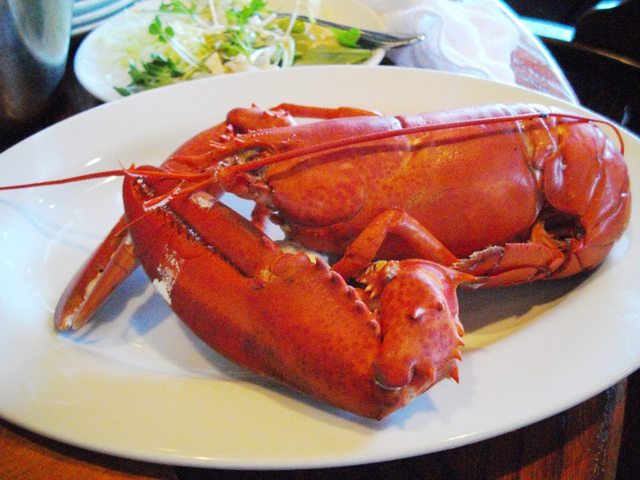 閉店 レッドロブスター 水戸店 Red Lobster 赤塚 シーフード 食べログ