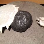 神保町 傳 - 大きなスッポンの肉まんが登場！