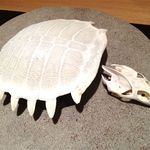 神保町 傳 - ガメラバージョンが！！