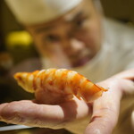 鮨 りんだ - 海老