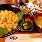 はしもと - 南三陸キラキラうに丼￥2000（5-8月）