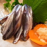小魚料理 とみ助 - 定番の小イワシ刺身は清廉な味
