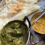 SUJATA INDIAN CURRY - 
