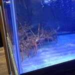 八重洲 steak & seafood 鉄板焼き 一心 - 