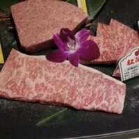 黒毛和牛焼肉きっしゃん 北新地店 - 