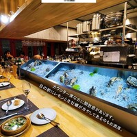 四ツ橋・新町 牡蠣と肉たらしビストロAKIRA - 