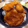 新潟カツ丼 タレカツ 心斎橋店