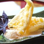 kiss tempura