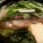 稲荷町髙はし - 2013.5月　稚鮎鍋
