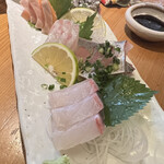 お季楽 でめきん魚 - 