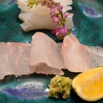 あさば - アオリイカとクエ