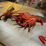 池袋 鉄板焼き Sublime - 