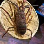 遊食樂酒 かた野 - 