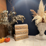 Hachi Cafe - 