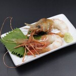 Extra large button shrimp sashimi