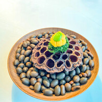 Installation Table ENSO L'asymetrie du calme - 