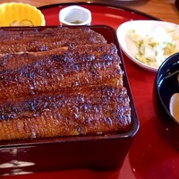 炭焼うな富士 白壁別邸 - 上うな重4,840円＋ご飯大盛100円　すっごい量なので大食いでなければ普通で充分。