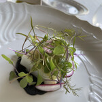 リストランテ・サリーレ - 