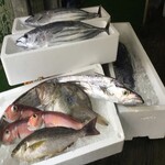 居魚屋　網元 - 