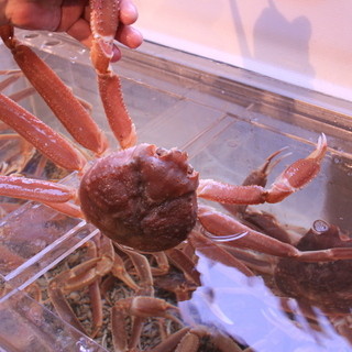 すすき 藤沢 魚介料理 海鮮料理 食べログ
