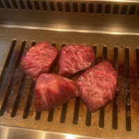 USHIGORO S. SHINJUKU - 