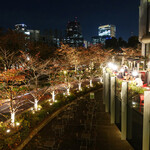 BANQUE - ミッドタウンの紅葉