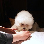 BANQUE - すぐに！お水ありがとう〜♬