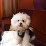 BANQUE - Anyway, Happy Anniversary