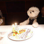 BANQUE - No, you aren't 40 yrs old! 