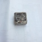 亀十 - きんつば