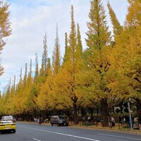 キハチ 青山本店 - 