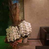 カンテサンス - 