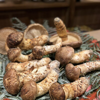 富小路 やま岸 - 