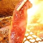 Yakiniku Resutoran Karashiya - さっと炙って熱々をいただく。肉の旨みが口いっぱいに広がります。