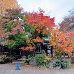 めるころ - 紅葉が、とっても綺麗でした！