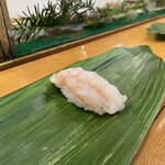 Sushi Dokoro Chiba - 甘海老
