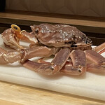 銀座 しのはら - 越前蟹　昨日水揚げされたばかりの新鮮な色艶