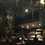 Bar LIBRE GINZA - 