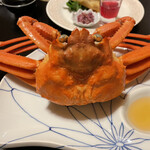 はまあかり潮音閣 - 加茂港水揚げ 浜茹でズワイガニ姿付け