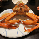 はまあかり潮音閣 - 目が合った…