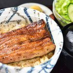 Unagi Hashimoto - 