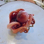 竹仙郷 - いいだこｗ