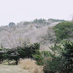 竹仙郷 - 敷地から見える山々には花が咲き乱れていますｗ